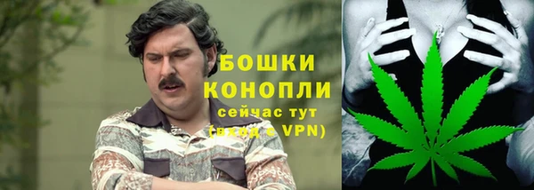 mdpv Новозыбков