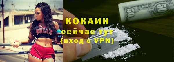 mdpv Новозыбков