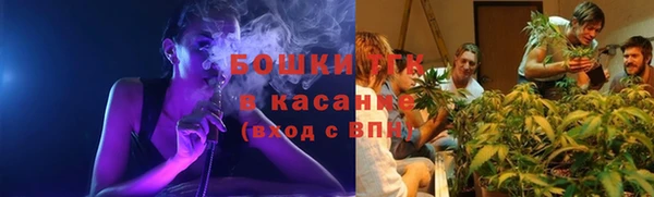 mdpv Новозыбков