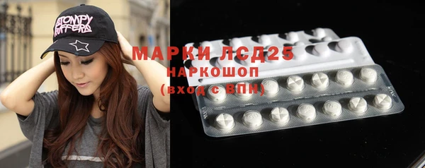 mdpv Новозыбков