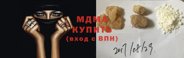 шишки Тайга