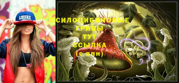 гидропоника Сосновоборск