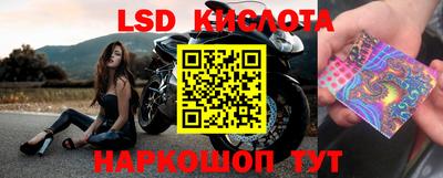 ALPHA-PVP Кандалакша