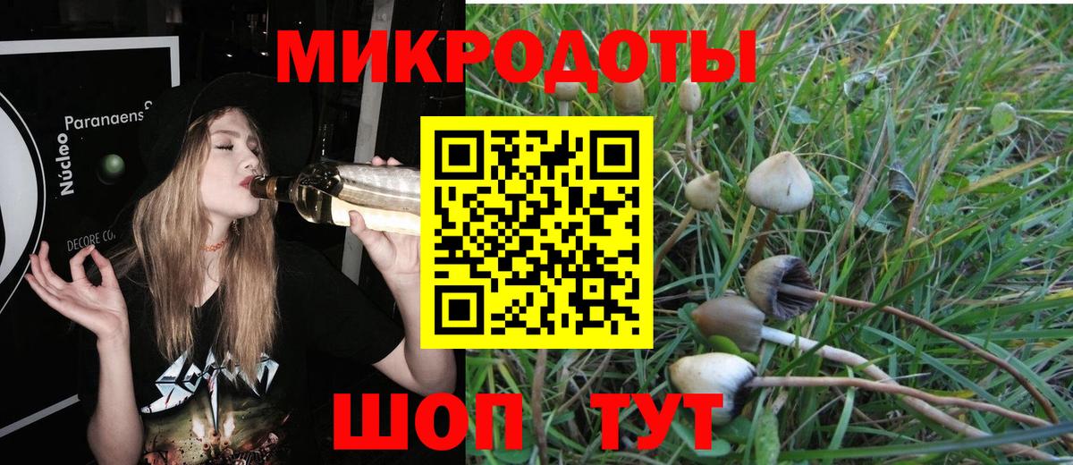 Галлюциногенные грибы ЛСД  Вход с VPN  Кондопога  Псилоцибиновые грибы Psilocybe 