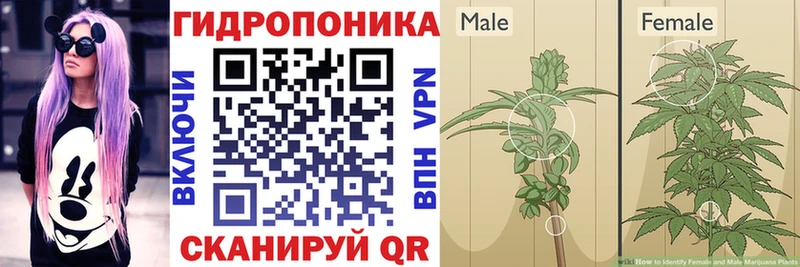 Бошки Шишки индика  Кондопога 